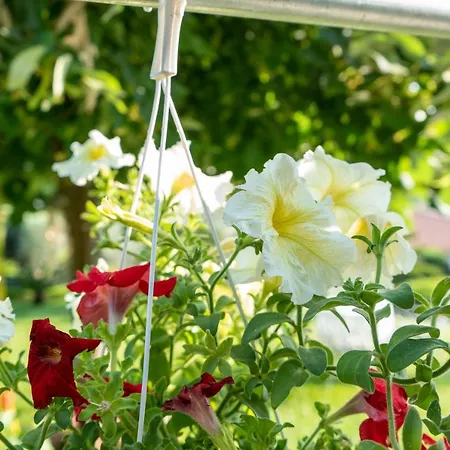 Mirovili House Káto Lekhónia