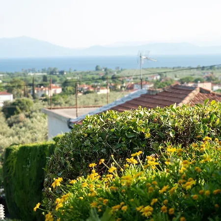 Villa Mirovili House