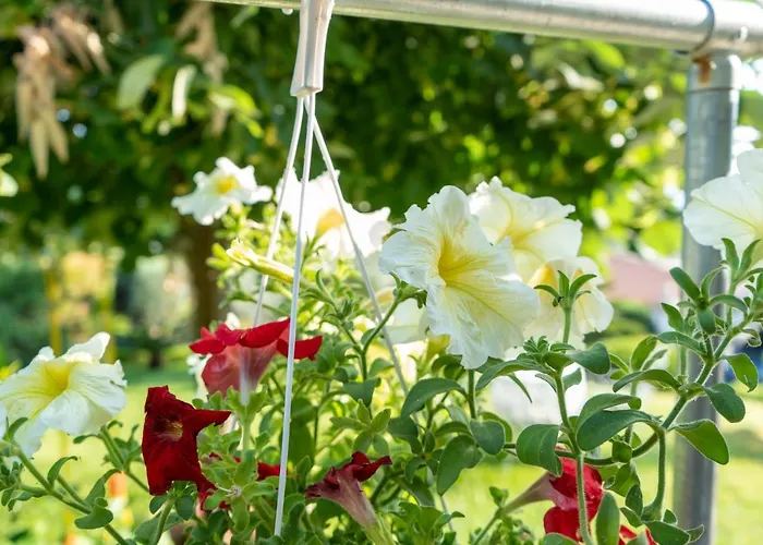 Mirovili House Káto Lekhónia